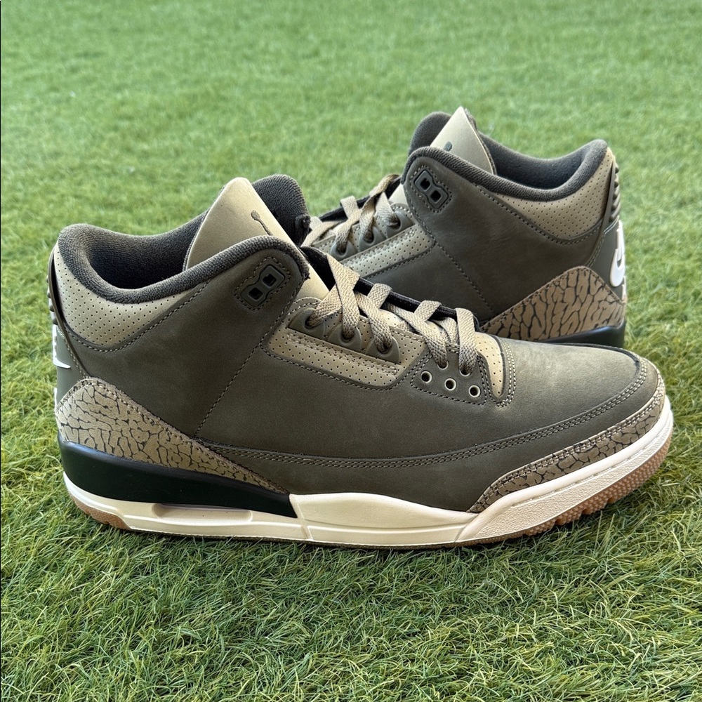 Air Jordan 3 Retro